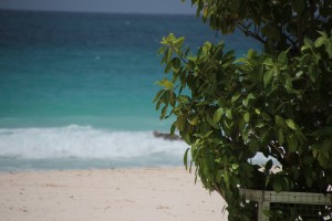 plage soleil decembre credit photo upupup caraibes