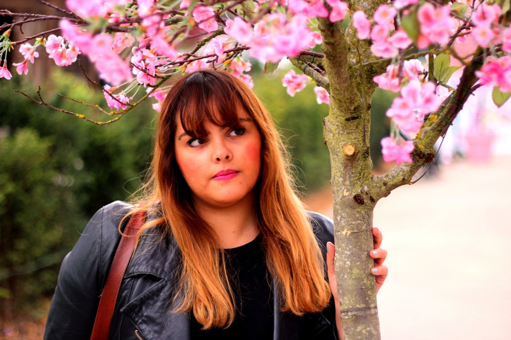sous un cerisier en fleurs