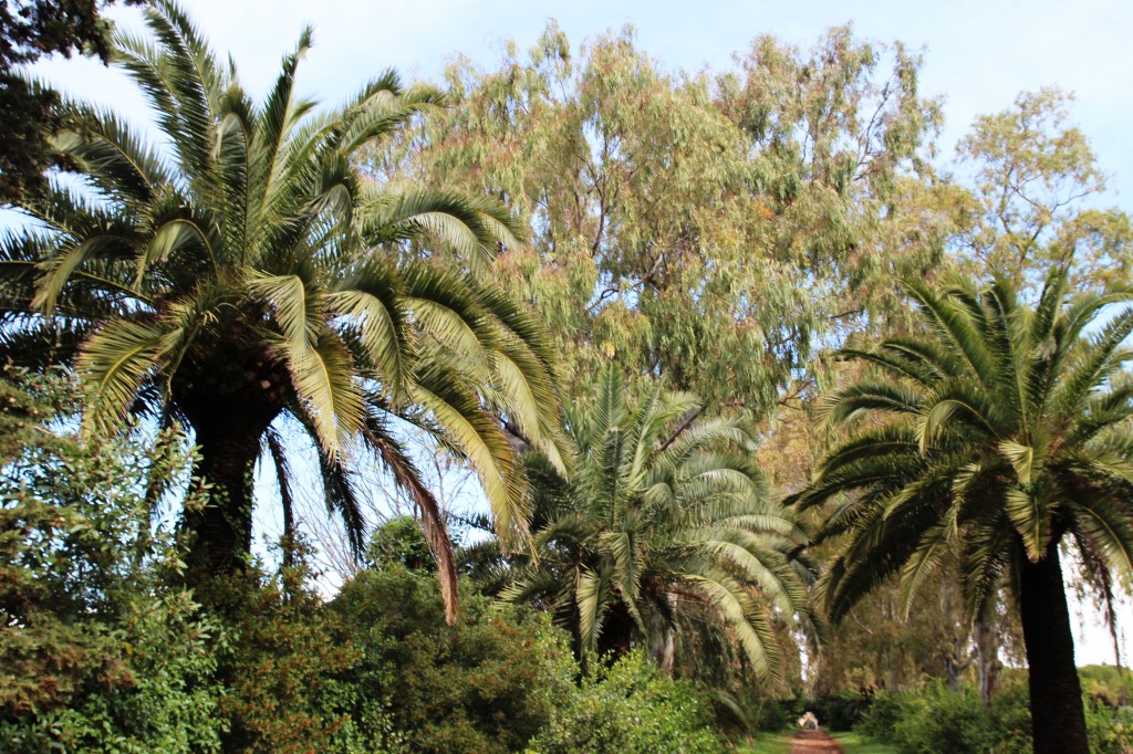 CANNES_ILESDELERINS_ILES_SECRETES_INSOLITE_ILE_STHONORAT