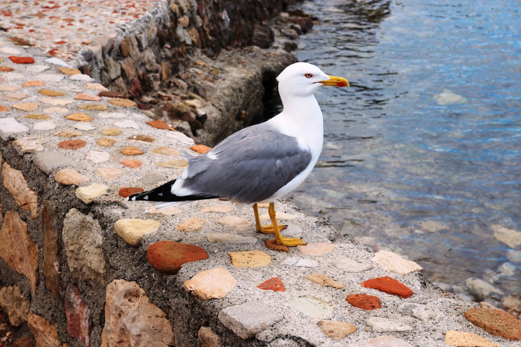 CANNES_ILESDELERINS_ILES_SECRETES_INSOLITE_ILE_STHONORAT