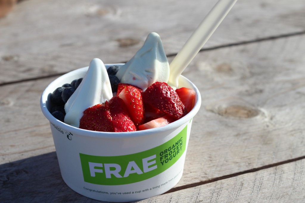 frozen_yogurt_london