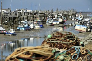 Port du Bec, Beauvoir sur Mer, dep85, La velodyssee, France