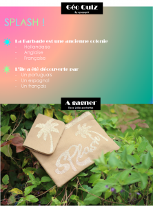 Concours Barbade Pochettes Eté Voyage Splash