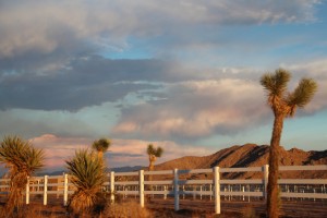 sunset road trip california dream desert josha valley