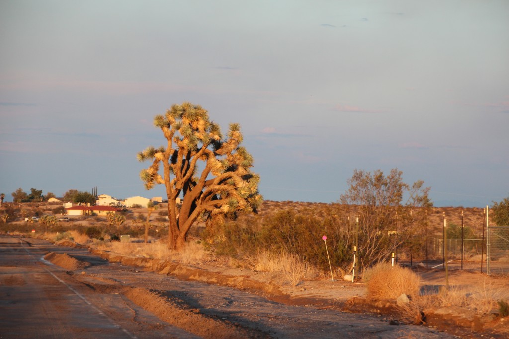 sunset road trip california dream desert yucca valley