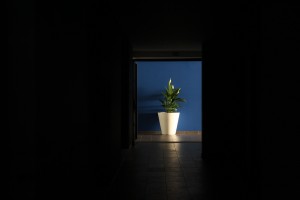 Radisson Blu Ajaccio Week-end en corse 37