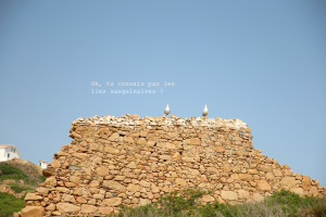 Iles sanguinaires