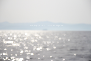 mer de sequins