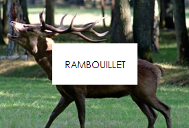 RAMBOUILLET