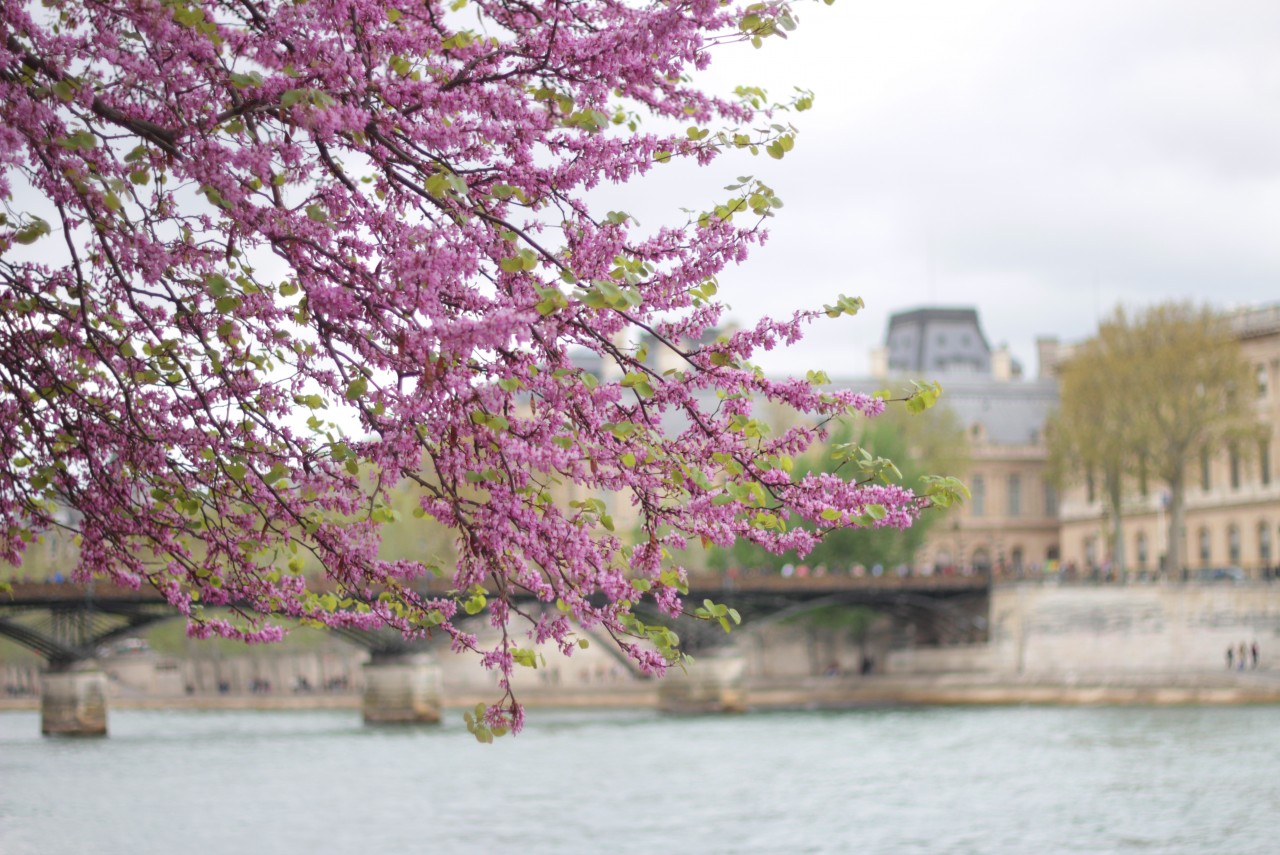 1 blog mode paris quais de seine shooting (c) upupup.fr