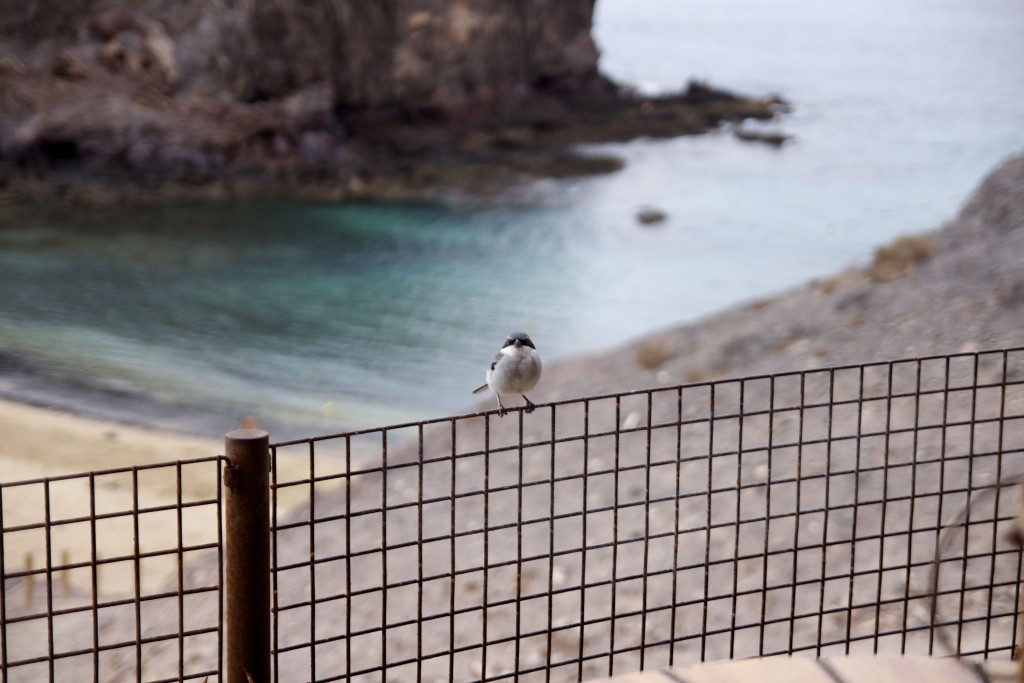 Playa-Papagayo-Lanzarote-Blog-Mode-Voyage-upupup.fr-4-1024x683