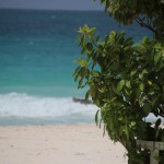 38 destinations plage et soleil en décembre 