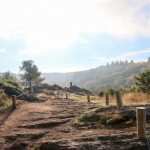 Brocéliande : une forêt magique