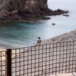 Où partir au soleil en septembre ?